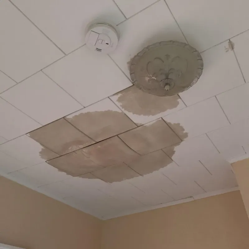 Ceiling Water Damage Repair in Fort Polk North, LA