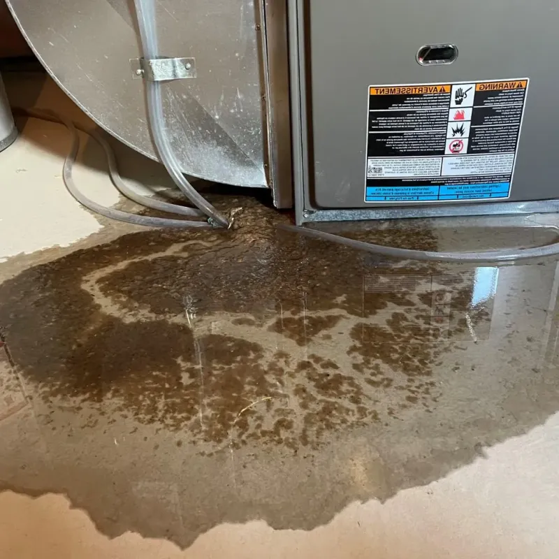 Pipe Burst and Leak Restoration in Fort Polk North, LA